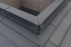 2020 0123 Ssama mae033.JPG