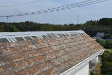 2020 0203 Kasama mae024.JPG