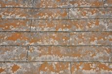 2020 0203 Kasama mae025.JPG