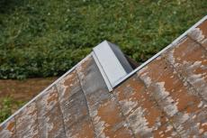 2020 0203 Kasama mae029.JPG