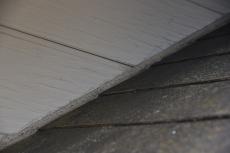 2020 0203 Kasama mae033.JPG