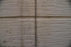 2020 0203 Kasama mae048.JPG