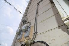 2020 0203 Kasama mae054.JPG