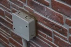 2020 0204 Osama mae20.JPG