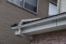 2020 0204 Osama mae22.JPG