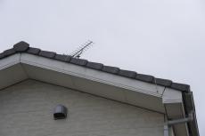 2020 0204 Osama mae23.JPG