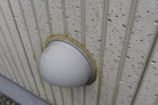 2020 0217 Ssama mae004.JPG