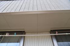 2020 0217 Ssama mae006.JPG