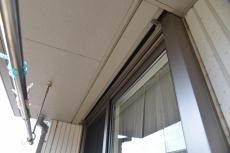 2020 0217 Ssama mae008.JPG