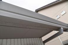 2020 0217 Ssama mae010.JPG