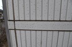 2020 0217 Ssama mae011.JPG