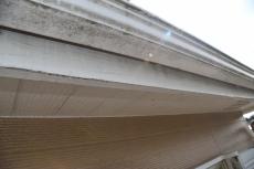 2020 0219 Ksama mae17.JPG