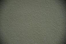 2020 0221 Hsama mae001.JPG