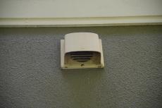 2020 0221 Hsama mae005.JPG