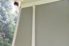 2020 0221 Hsama mae008.JPG