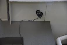 2020 0221 Hsama mae012.JPG