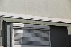 2020 0221 Hsama mae018.JPG