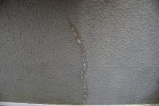 2020 0221 Hsama mae019.JPG