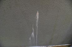 2020 0221 Hsama mae020.JPG