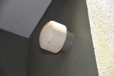 2020 0221 Hsama mae023.JPG