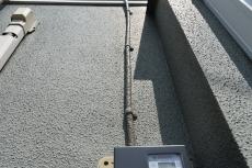 2020 0221 Hsama mae025.JPG