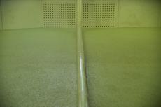 2020 0221 Hsama mae030.JPG