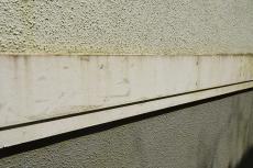 2020 0221 Hsama mae032.JPG