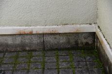 2020 0221 Hsama mae036.JPG