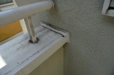 2020 0221 Hsama mae038.JPG