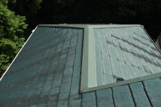 2020 0221 Hsama mae043.JPG