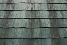 2020 0221 Hsama mae044.JPG