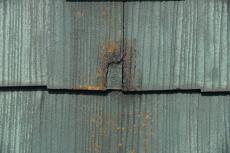 2020 0221 Hsama mae045.JPG