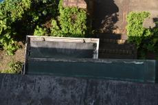 2020 0221 Hsama mae047.JPG