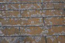 2020 0226 Asama mae05.JPG