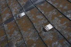 2020 0226 Asama mae06.JPG