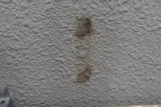 2020 0226 Asama mae37.JPG