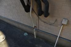 2020 0302 Isama mae14.JPG