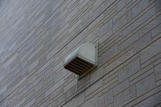 2020 0302 Isama mae17.JPG