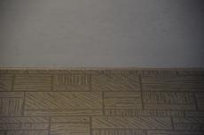 2020 0302 Isama mae26.JPG