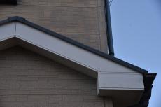 2020 0302 Isama mae31.JPG