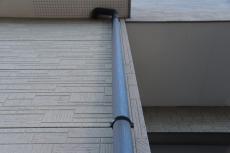 2020 0302 Isama mae35.JPG