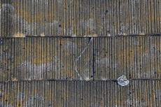 2020 0302 Isama mae42.JPG