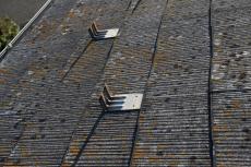 2020 0302 Isama mae46.JPG