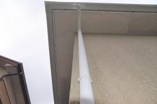 2020 0302 Nsama mae20.JPG