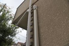 2020 0302 Nsama mae25.JPG