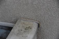 2020 0302 Nsama mae28.JPG