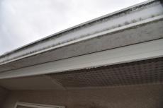 2020 0302 Nsama mae33.JPG