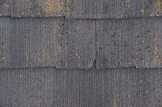 2020 0302 Nsama mae40.JPG