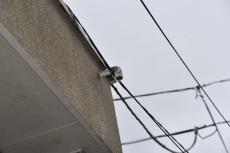 2020 0302 Nsama mae51.JPG