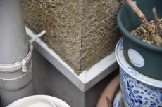 2020 0302 Nsama mae53.JPG